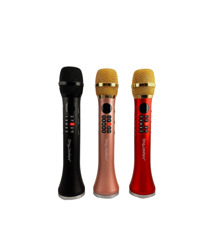 Lewinner L-698 Karaoke Microphone – lewinner