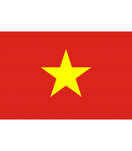 Vietnamese Karaoke